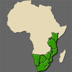 Africa